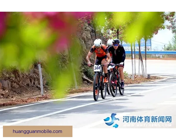 皇冠网址失效原因解析及应对策略全面指南