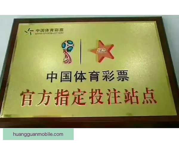 世界杯竞猜投注技巧全解析让你提高胜率掌握制胜秘诀