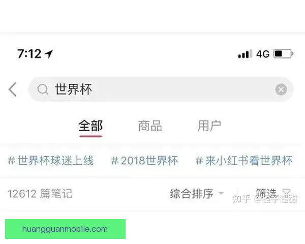 世界杯胜负预测全攻略详解让你轻松锁定冠军走势